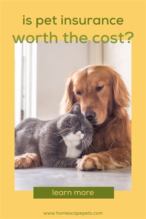 is pet insurance worth the cost.